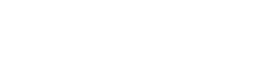 ART INVESTMENT FUND ASI